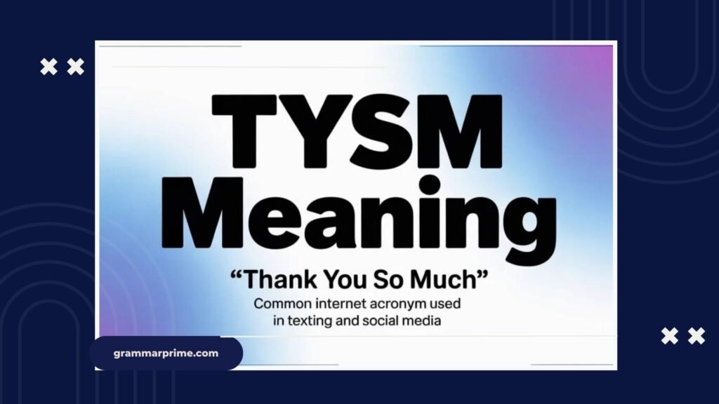 tysm meaning in text