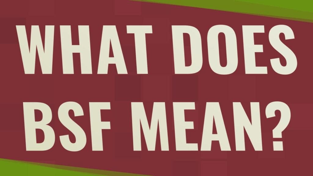 What Is BSF Mean