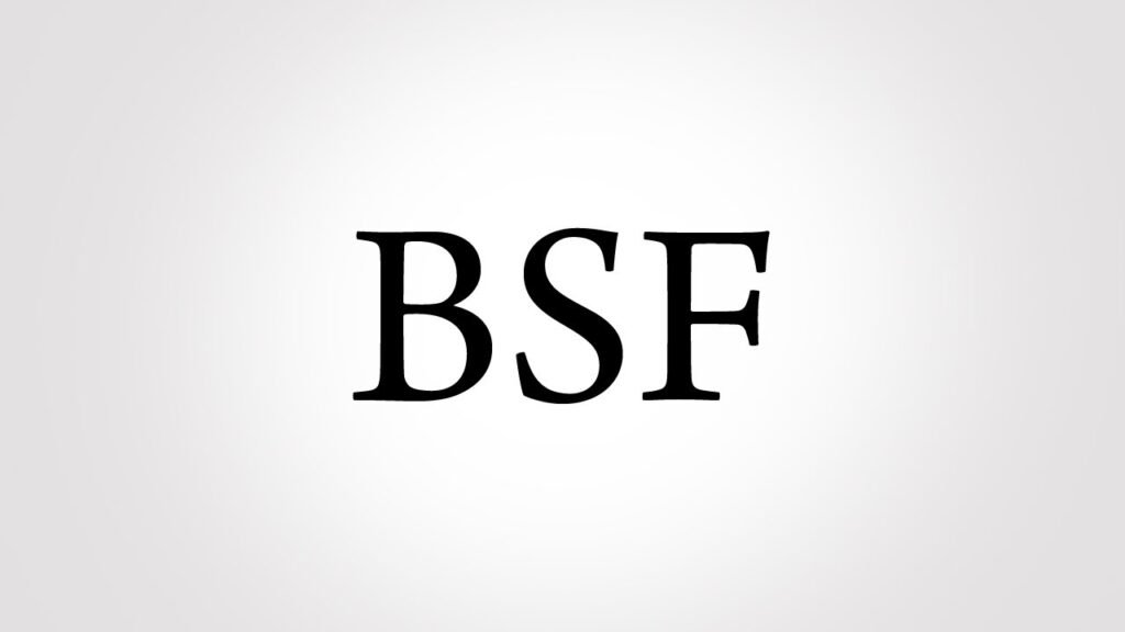 What Is BSF Mean