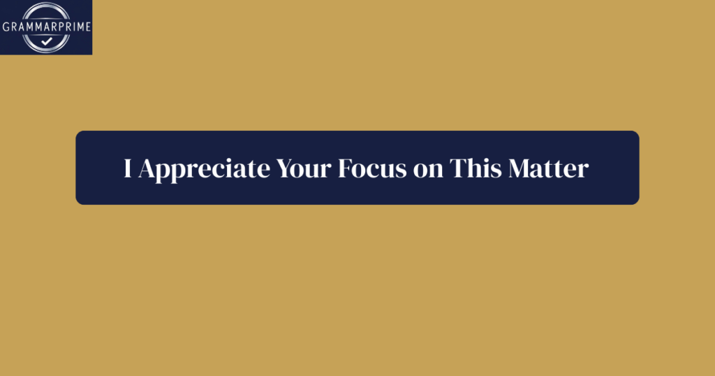 I Appreciate Your Focus on This Matter