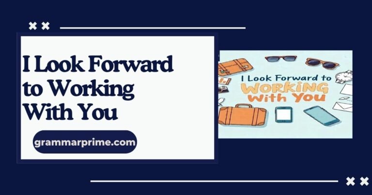 I Look Forward to Working With You